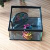 Bewaar dierbare herinneringen in de stijlvolle zwarte glazen vitrine . Deze elegante vitrine biedt een prachtige manier om persoonlijke items van uw geliefde te etaleren en te beschermen. Met zijn strakke design en hoogwaardige afwerking, creëert het een eerbetoon dat elke ruimte siert. Een waardevolle toevoeging aan uw herinneringsplek.