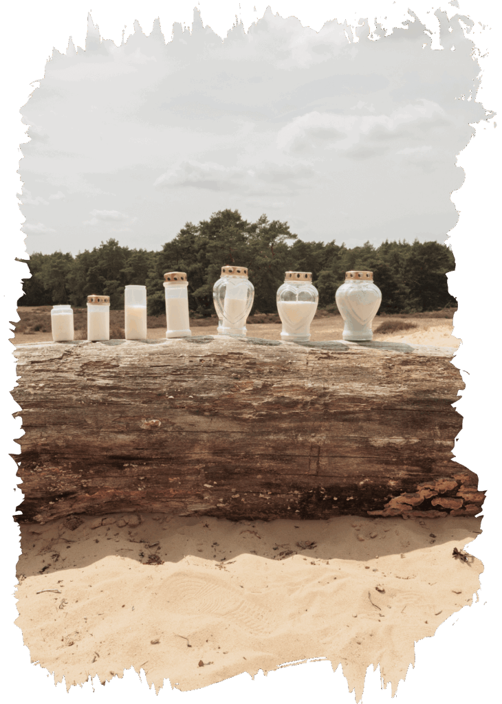 Alle modellen van de rouwkarsen , grafkaarsen , gedenkkaarsen op een stronk met bos op achtergrond - Ren&eacute; Geeft Troost